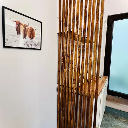 Zen Apartament- 2024