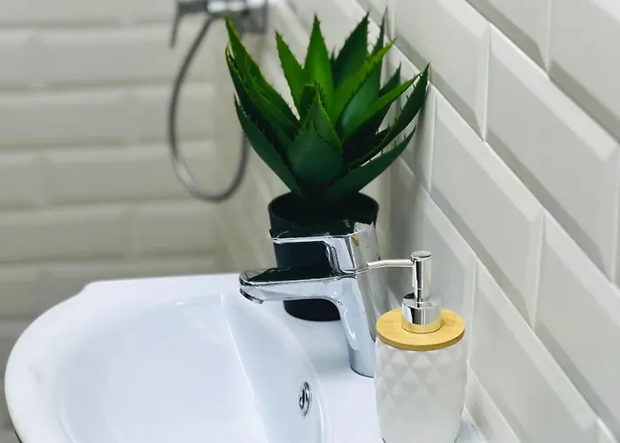 Central Zen Apartament- 2024 Appartement