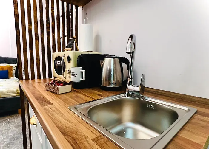 Central Zen Apartament- 2024 *