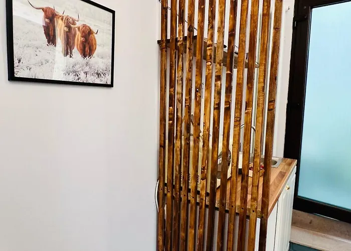 Central Zen Apartament- 2024