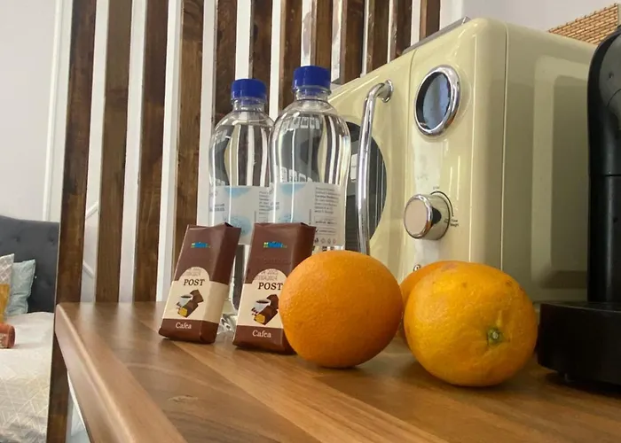 Central Zen Apartament- 2024 Appartement *